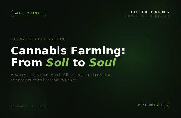 Blog cover: Cannabis Farming from Soil to Soul craft cultivation guide
