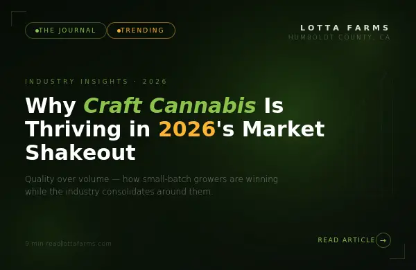 Blog cover: why craft cannabis is thriving in the 2026 market shakeout