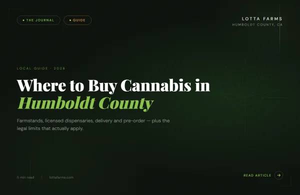 Blog cover: where to buy cannabis in Humboldt County